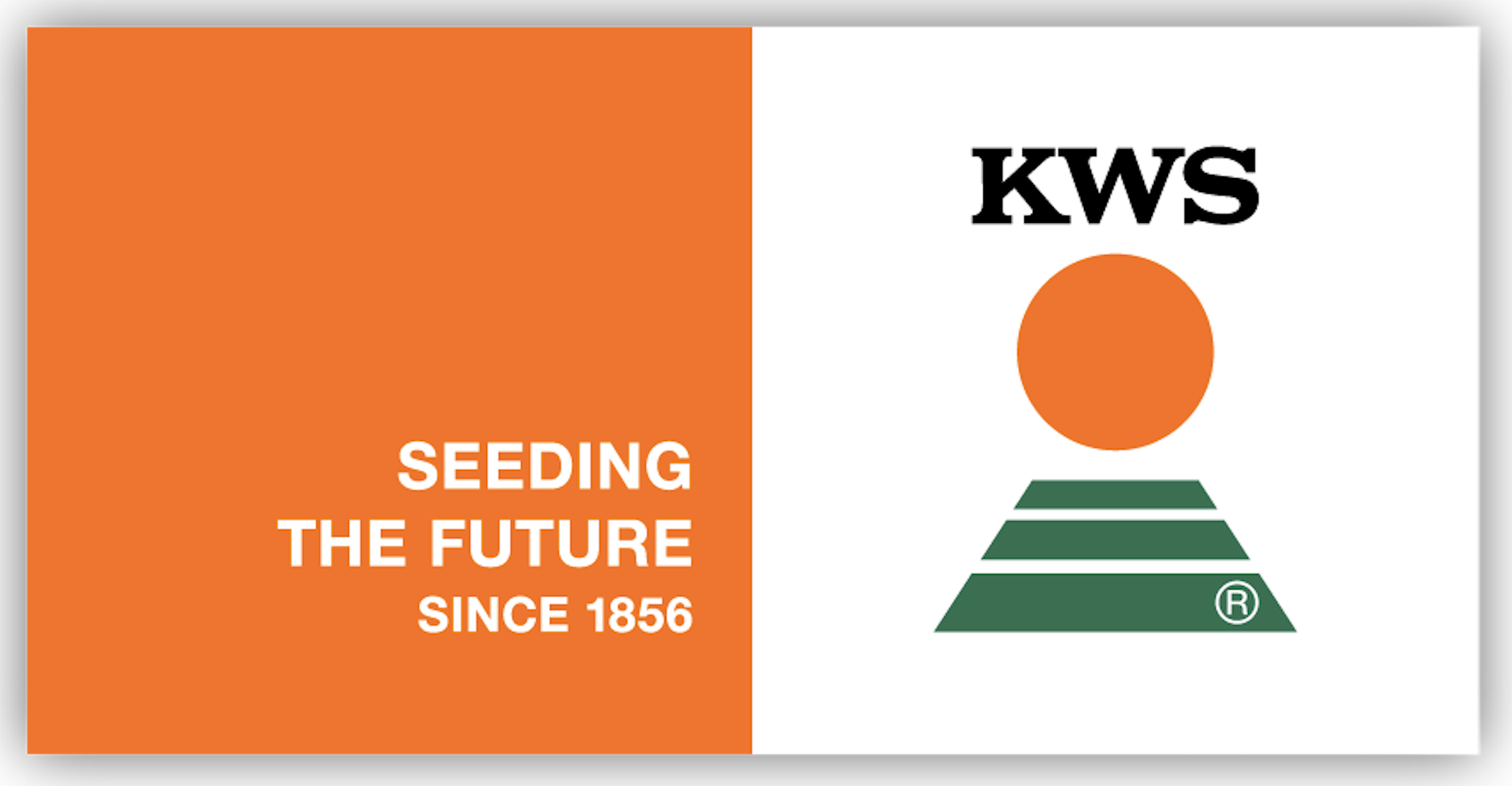 KWS Saat